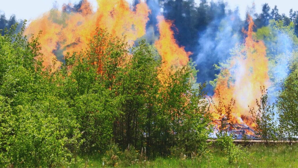 Wildfires and natural disasters